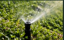 Irrigation project
